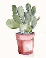Potted Succulent I Fine Art Print