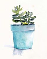 Potted Succulent II Fine Art Print