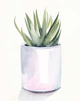 Potted Succulent III Fine Art Print