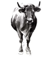 Charcoal Cattle II Framed Print