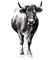 Charcoal Cattle II Fine Art Print