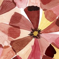 Elementary Flora II Framed Print