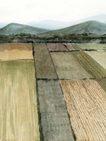 This Land I Fine Art Print