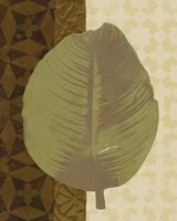 Tropical Leaf II Framed Print