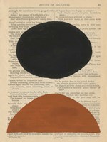 Modern Prose III Fine Art Print