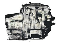 Inscrutible I Fine Art Print