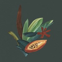 Tropic of Capricorn II Fine Art Print