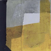 Black & Yellow III Fine Art Print