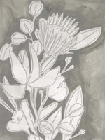 Spectral Blooms II Fine Art Print