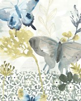 Butterfly Concerto I Fine Art Print