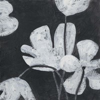 Monochrome Meadow I Fine Art Print