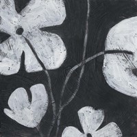 Monochrome Meadow II Fine Art Print