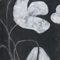 Monochrome Meadow IV Fine Art Print