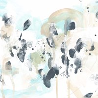 Nautilus Dreams III Fine Art Print