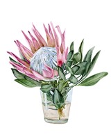 Awaken Protea II Framed Print