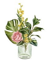 Potpourri II Framed Print