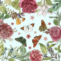 Circular Butterfly I Fine Art Print