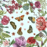 Circular Butterfly II Fine Art Print