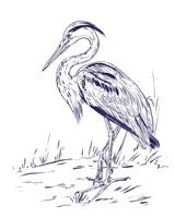 Indigo Heron I Fine Art Print