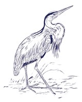 Indigo Heron II Fine Art Print