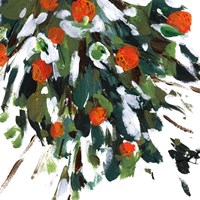 Ripe Tangerines I Fine Art Print