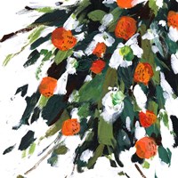 Ripe Tangerines II Fine Art Print