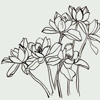 Flamenco Dancer II Fine Art Print