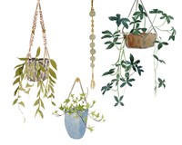 Hanging Greens I Fine Art Print
