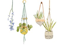 Hanging Greens IV Fine Art Print