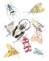 On Stage I Fine Art Print