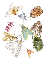 On Stage II Fine Art Print