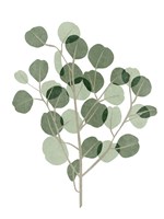 Windy Eucalyptus I Fine Art Print