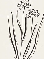 Swaying I Fine Art Print