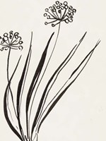 Swaying II Fine Art Print