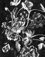 Enchanted Bloom I Fine Art Print