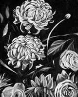 Enchanted Bloom II Fine Art Print