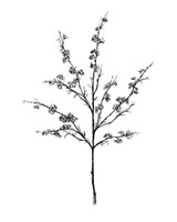 Field Flower III Fine Art Print