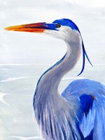 Great Blue I Fine Art Print