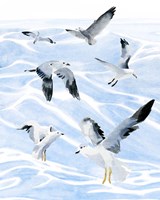 Seagull Soiree I Framed Print