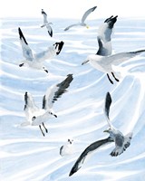Seagull Soiree II Fine Art Print
