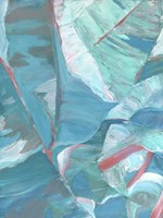 Banana Suave I Fine Art Print