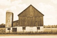 Weathered III Sepia Fine Art Print