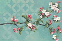 Cherry Blossoms Fine Art Print