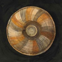 Woven Beauty II on Black Fine Art Print