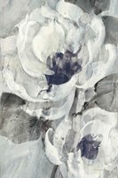 Navy Delight II Fine Art Print