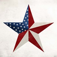 Star Flag Fine Art Print