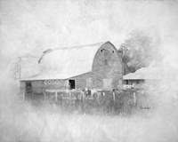 Sully's Barn II Framed Print