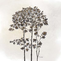 Leafy Treetop Fine Art Print