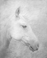 His Majesty Fine Art Print