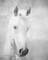 The Queen Fine Art Print